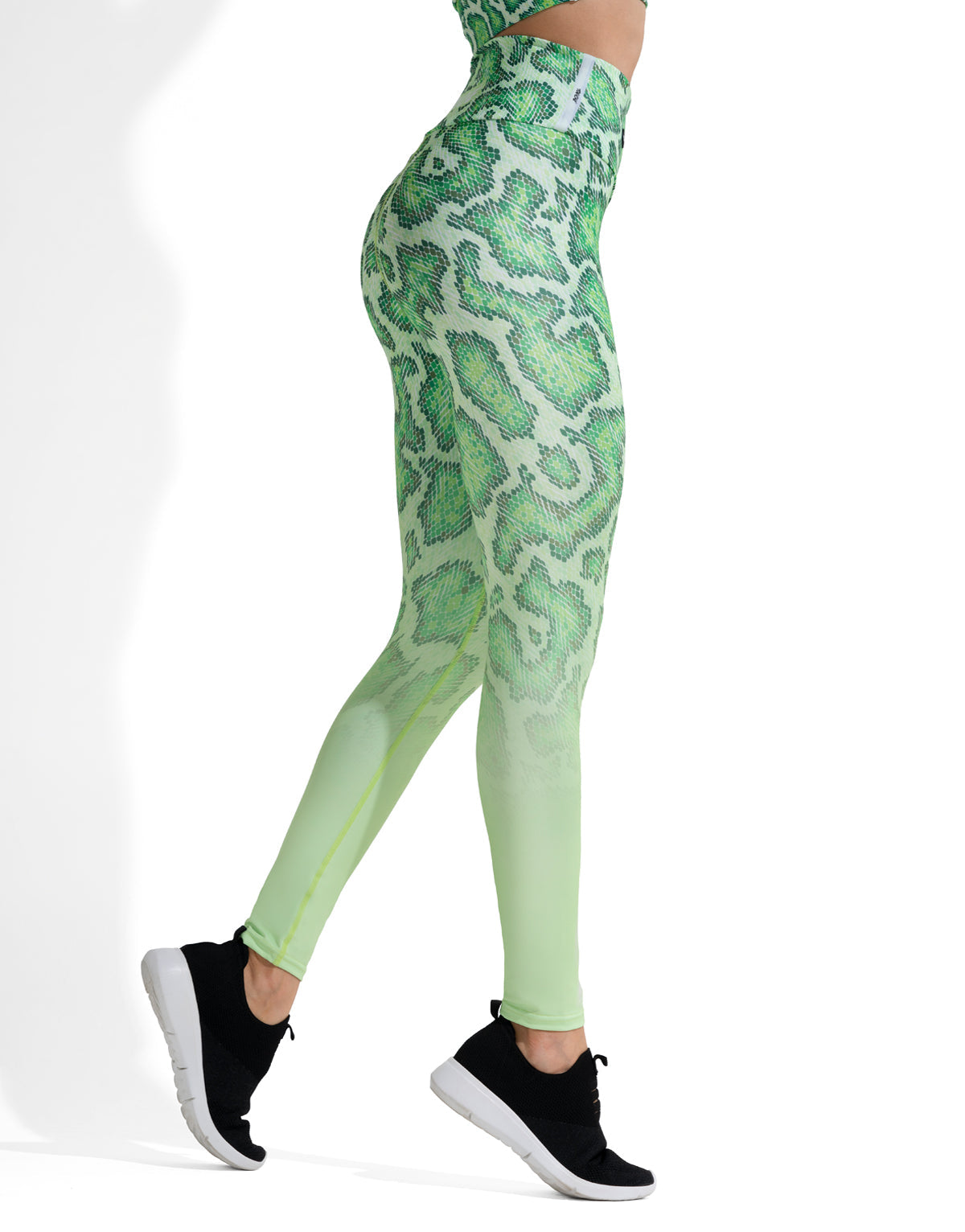 SNAKE LIME